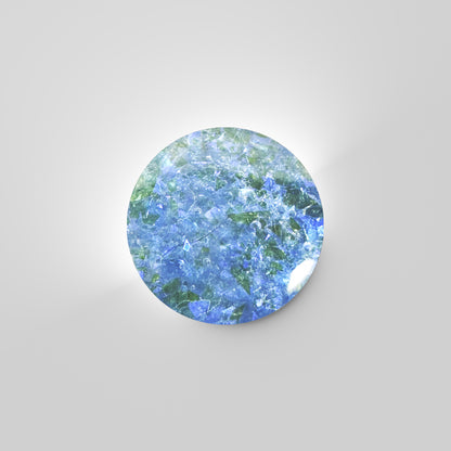 Antartica